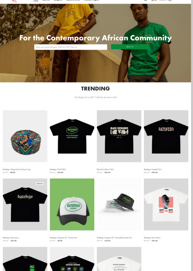 Abuja Business Owners 4 trendsleek web design creative agency